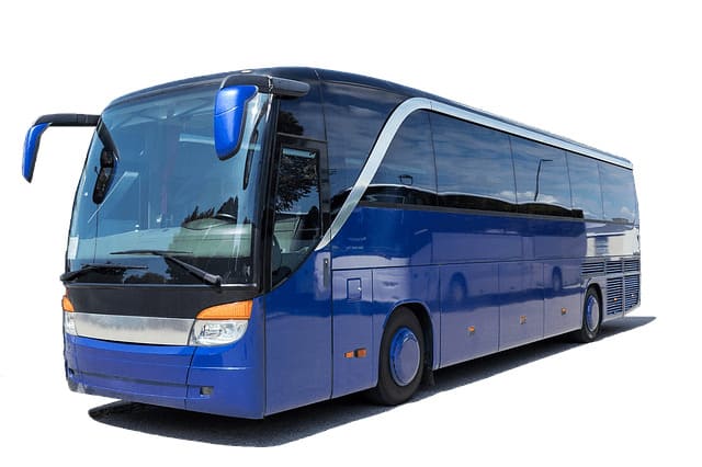 coach-3206326_640 (1).jpg