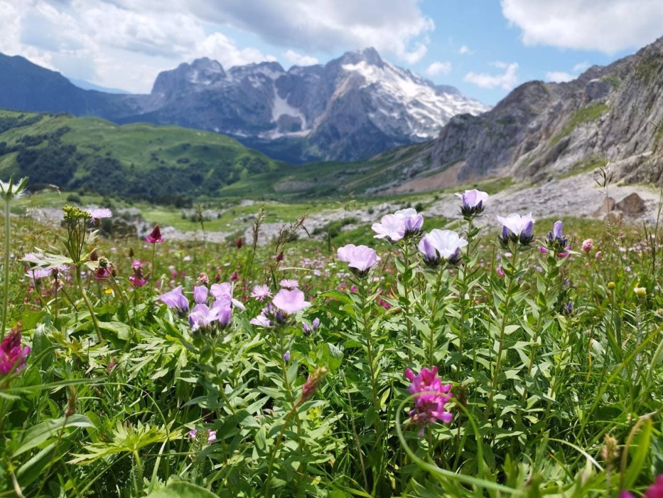 628893f7-007d-445f-9a8a-71489d5a8cec (2).jpeg