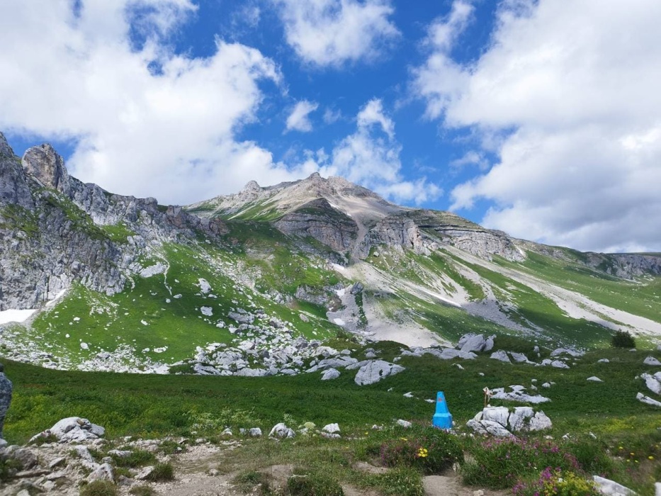 9e2a5e1b-edbd-4705-b80b-58a1910373bd (1).jpeg