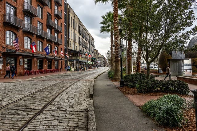 savannah-gbd0466365_640.jpg