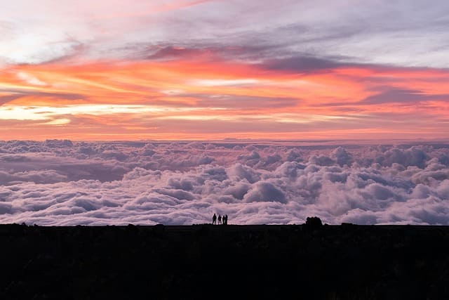 maui-g645a3ab92_640.jpg maui-g645a3ab92_640.jpg