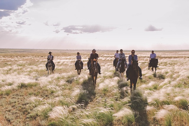 horseback-riding-3530915_640.jpg